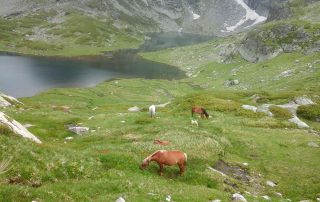 Seven Rila Lakes 3