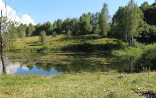 Vlasina Lake 4